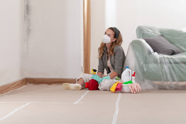 Reliable Commercial Mold Remediation contractor in Summit, WA by WQB Mold Removal